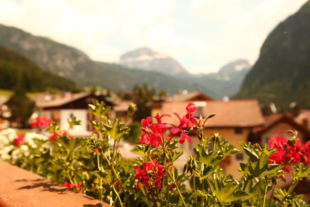 Hotel Garnì Prà Fiorì à Campitello di Fassa Chambre photo